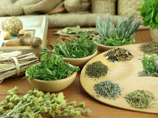 Phytothérapie pour la puissance